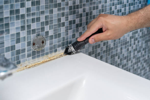 Best Health and Safety Mold Remediation in Gautier, MS