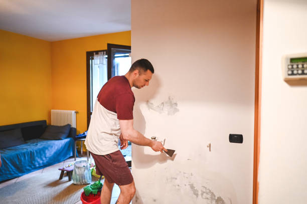 Best Commercial Mold Remediation in Gautier, MS